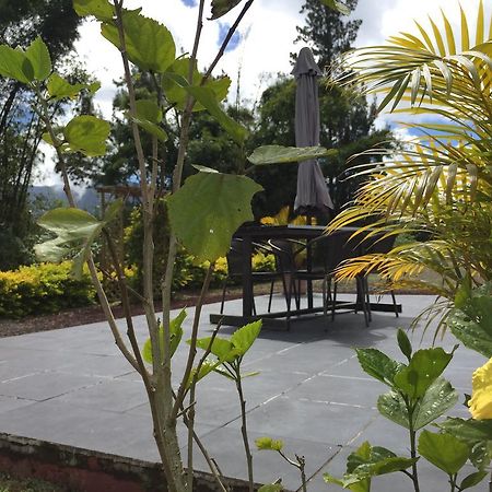 Meuble De Tourisme "Au Bord De La Mare" Villa Salazie Luaran gambar